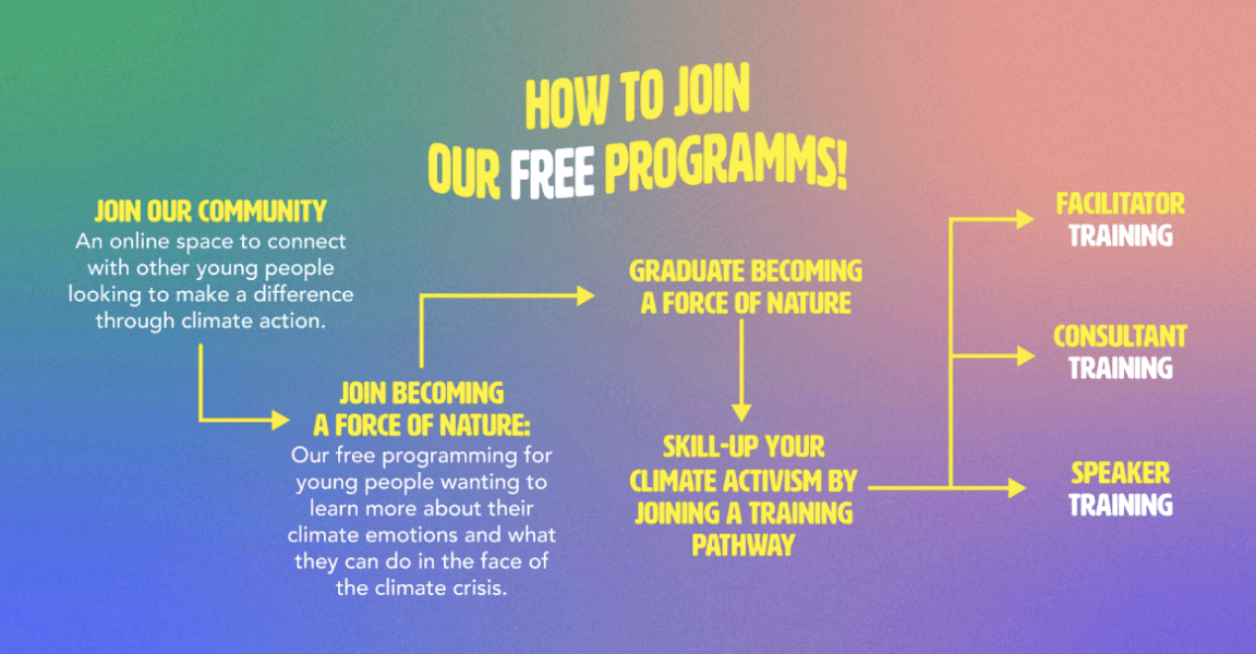 A chart showing the training pathway of Force of Nature's free programmes
